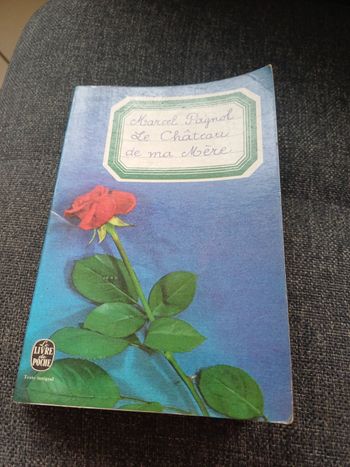 Livre Le château de ma mère