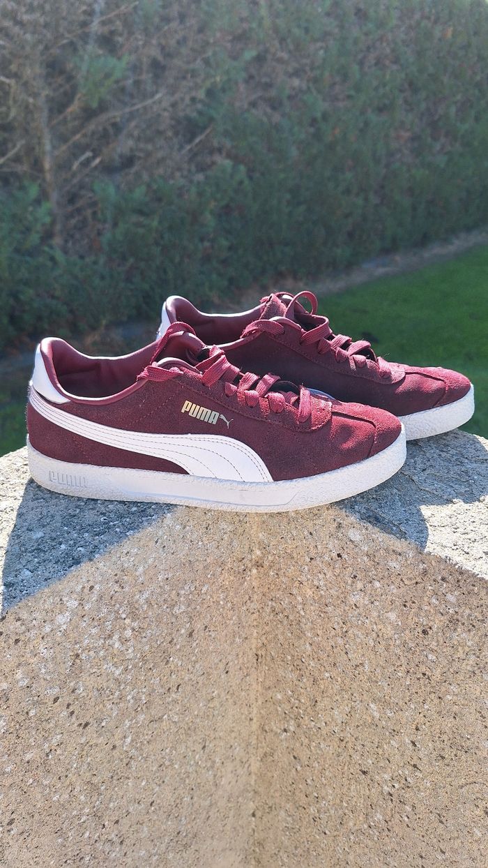 Basket Puma