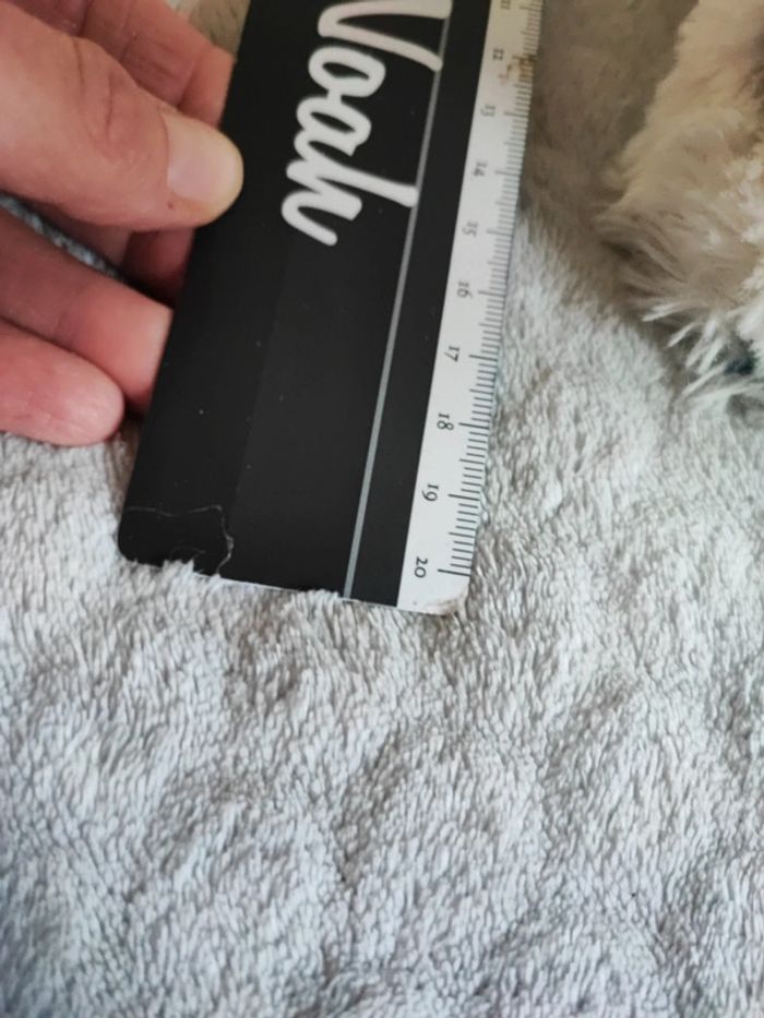 Peluche 101 Dalmatien - photo numéro 3