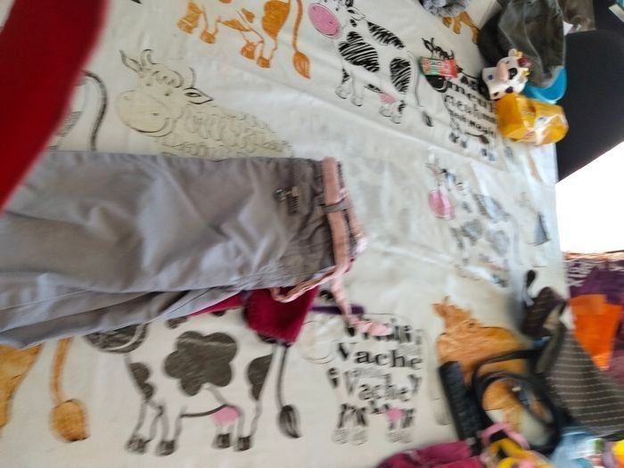 Lot de 2 pantalons - photo numéro 2
