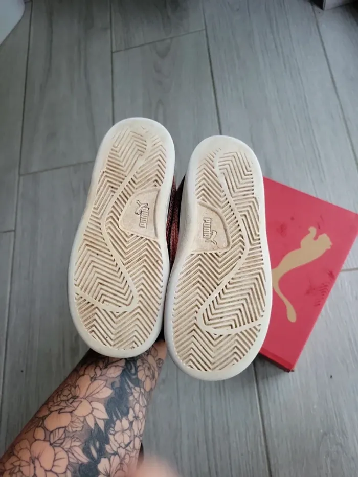 Puma smash - photo numéro 3