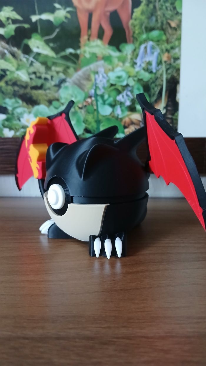 Pokeball Dracaufeu Shiny - photo numéro 2