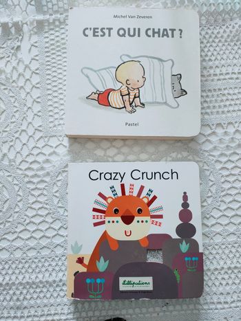 Lot 2 livres cartonnés