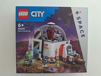 Lego 60439
