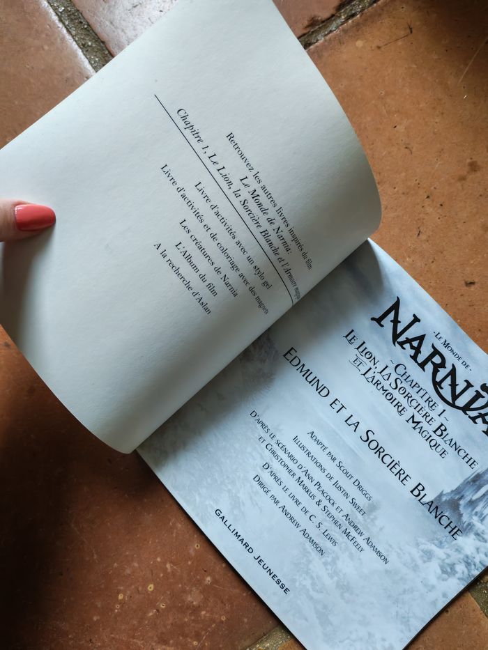 Le Monde de Narnia, chapitre 1 Edmund et la Sorcière Blanche - photo numéro 2