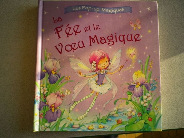 LA FEE ET LE VOEU MAGIQUE