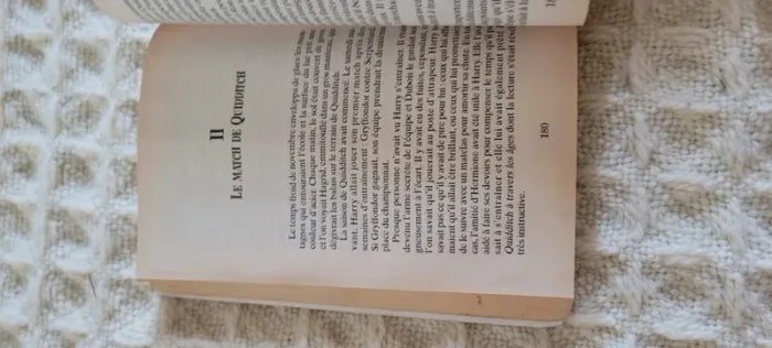 Harry potter à l'école des sorciers - photo numéro 6
