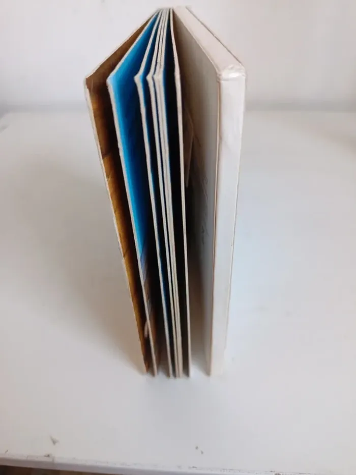 Livre sonore écoute les bruits de la préhistoire - photo numéro 15