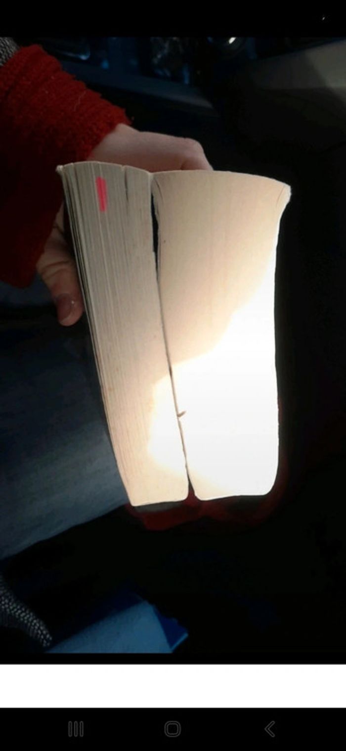 Lot 2 livres policier - photo numéro 6