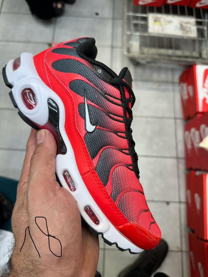 commander tn requin pas cher