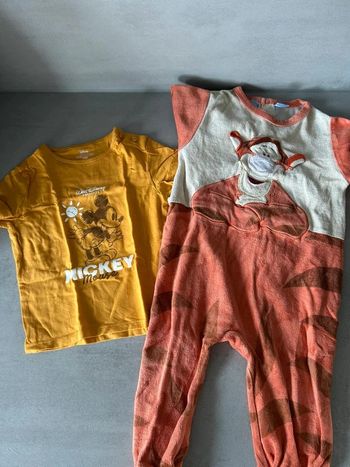 Lot vêtements Disney