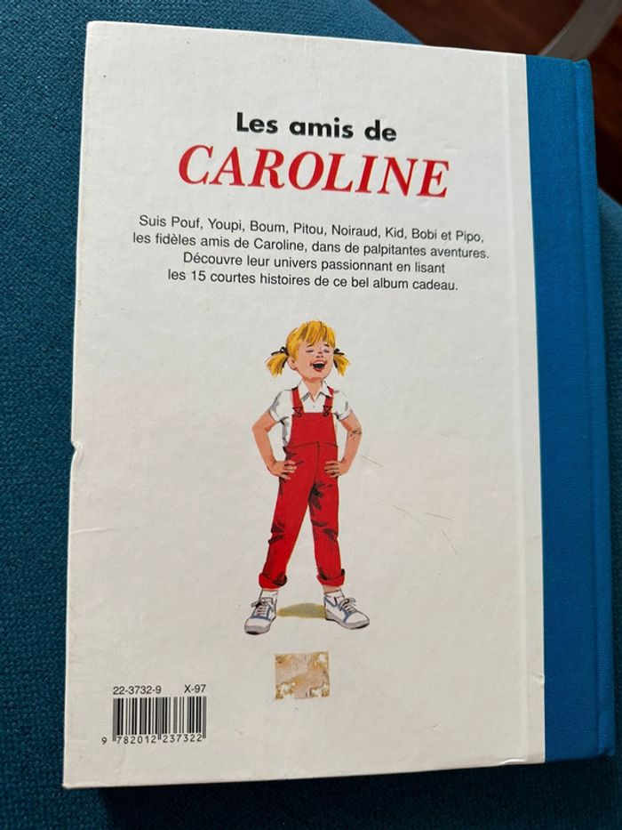 Grand album livre 156 pages Les Amis de Caroline Pierre Probst Hachette Jeunesse reliure bleu - photo numéro 2