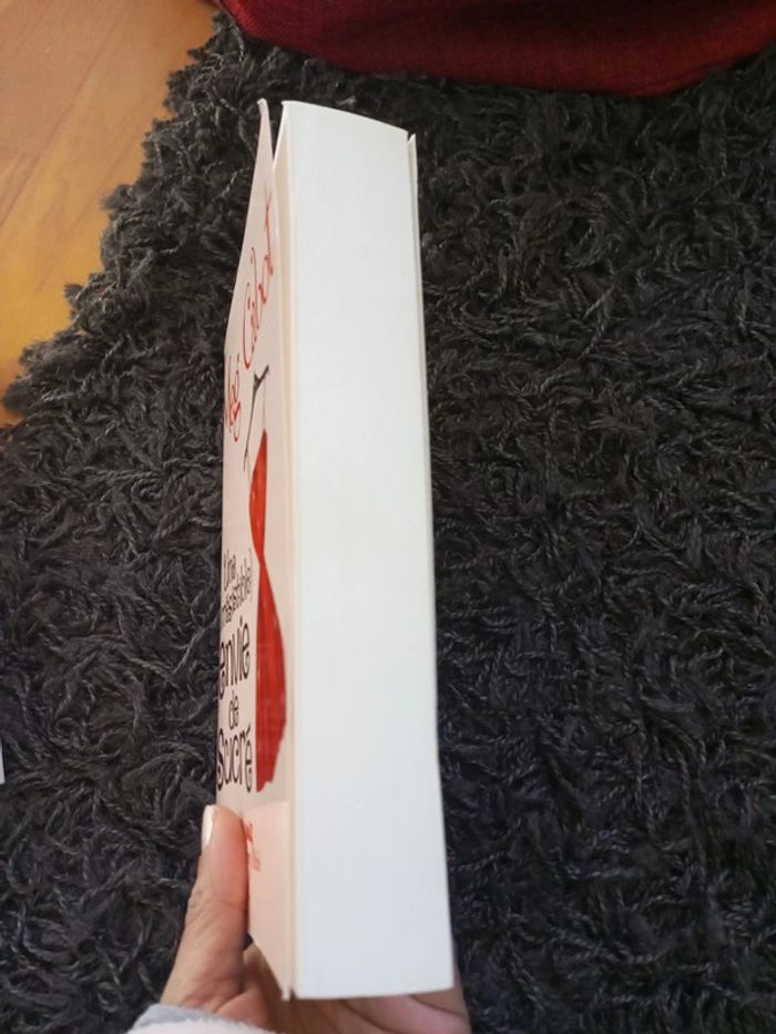 Une irrésistible envie de sucre - photo numéro 3