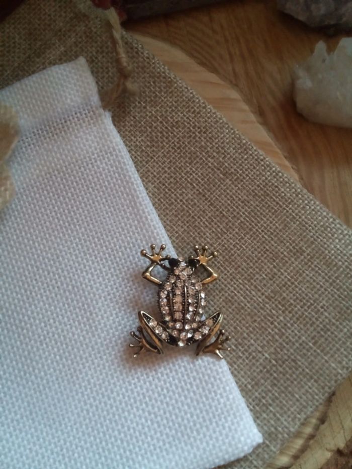 Broche grenouille zircons