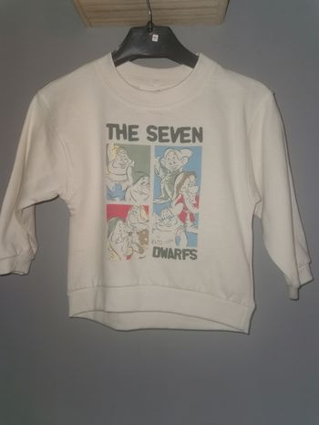Pull les 7 nains Disney 2 ans neuf