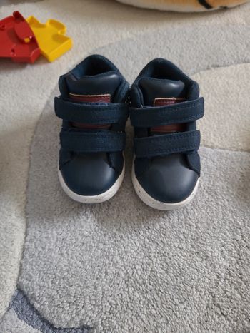 Baskets montantes 19