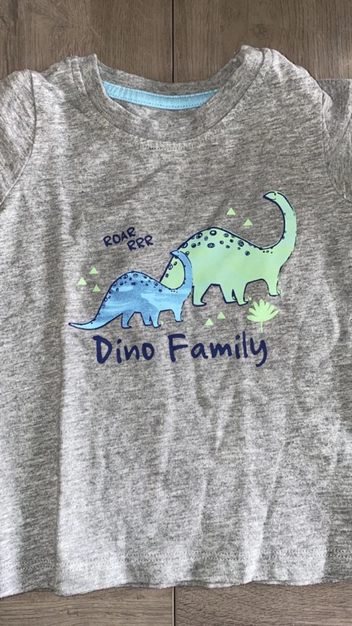 Lot t-shirt garçon dinosaures crocodile - photo numéro 5