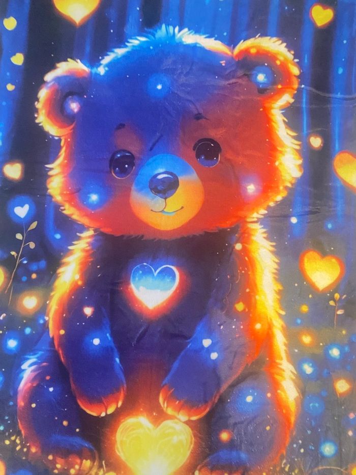 Couverture ours - photo numéro 2