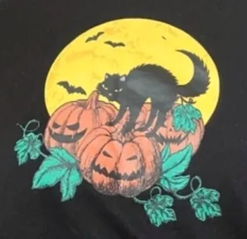 SHEIN Pull Court Halloween Citrouille À Imprimé Chat 11-12 ans 152 cm