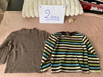 Lot de 2 tee-shirts manches longues taille 2 ans