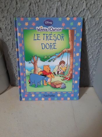 Livre Winnie Le trésor doré