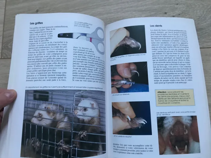 Lire sur le furet - photo numéro 5