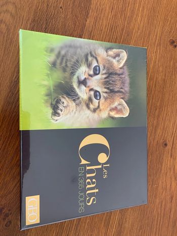 Les chats en 365 jours