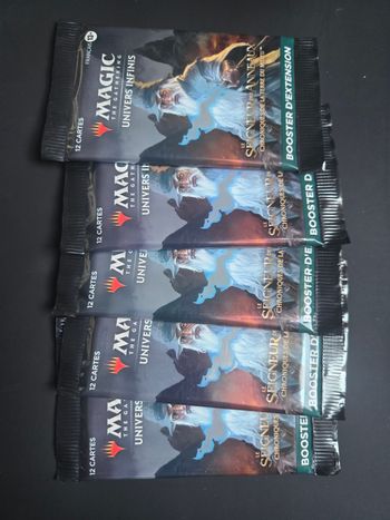 Mtg Le Seigneur des Anneaux lot de 5 boosters d'extension en Francais 