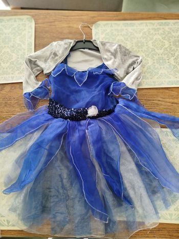 Déguisement la Fée Clochette