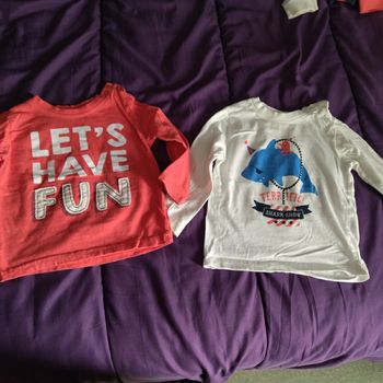 Lot de 2 t-shirts manches longues