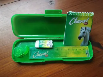 Affaires d'école cheval