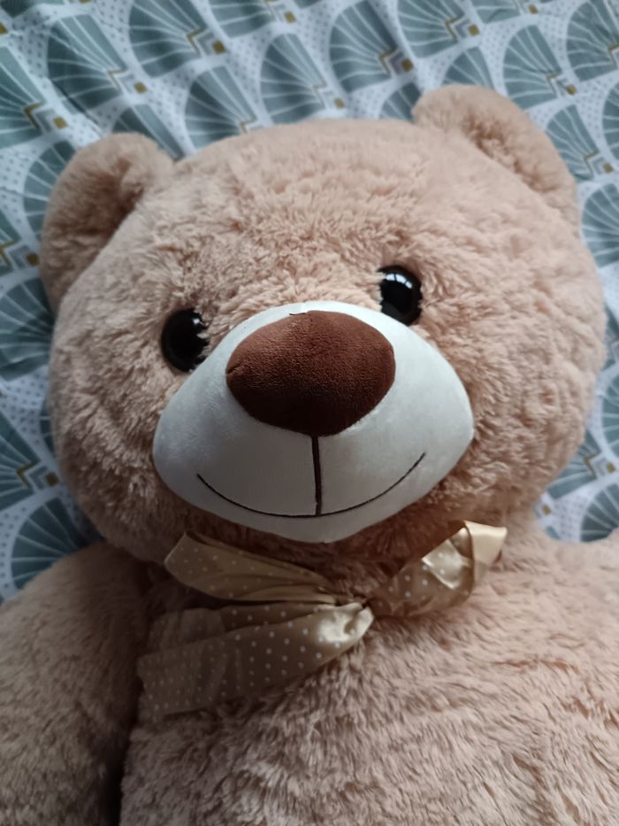 Peluche XXL - photo numéro 2