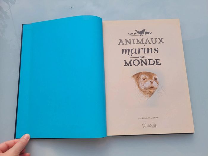Très beau livre grand format : 🦈 Les Animaux Marins du Monde 🐋 Grenouille éditions (63) - photo numéro 3