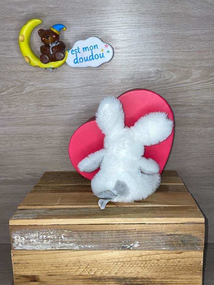 DDC553 doudou et compagnie lapin 🐰 - photo numéro 2