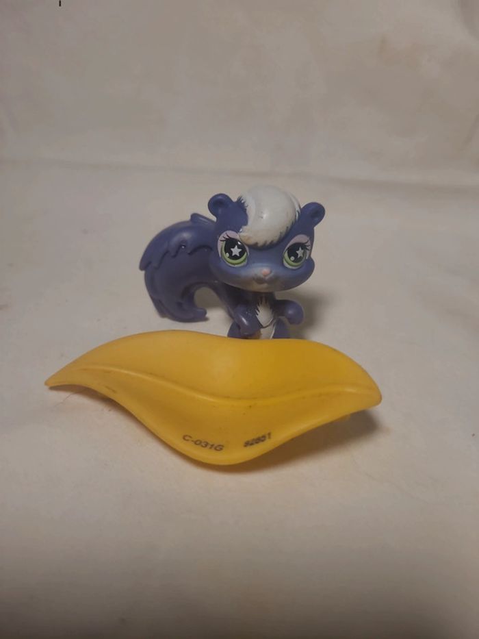 ecureuil petshop - photo numéro 3