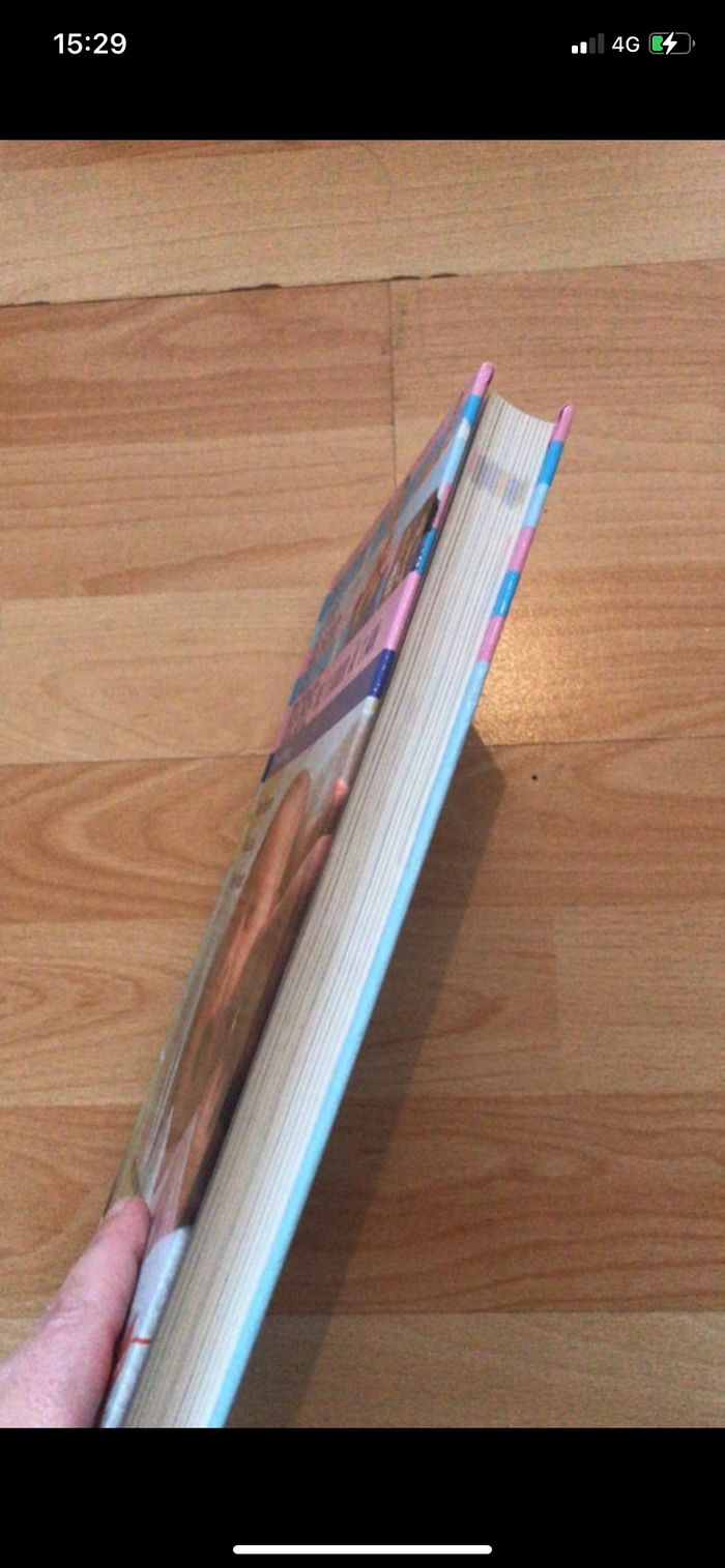 Le livre de bord de bébé - photo numéro 2