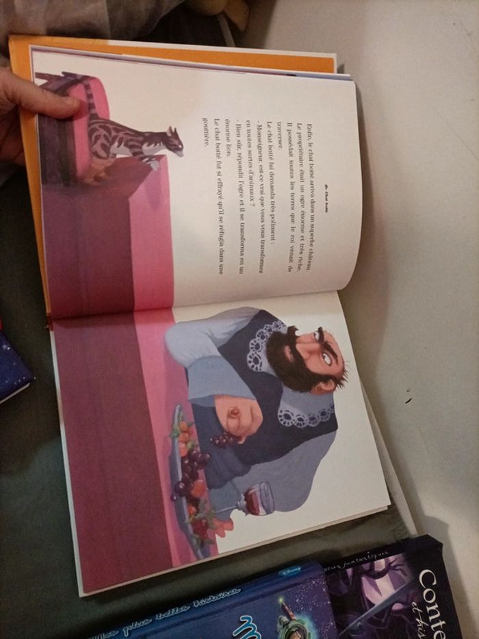 Livres de contes - photo numéro 5