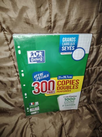 Lot 300 feuilles copies doubles oxford
