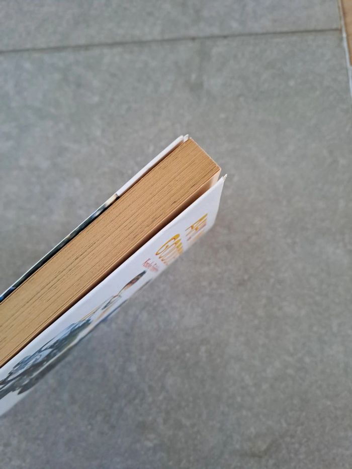 Ah ! My goddess - Tome 1 - photo numéro 3