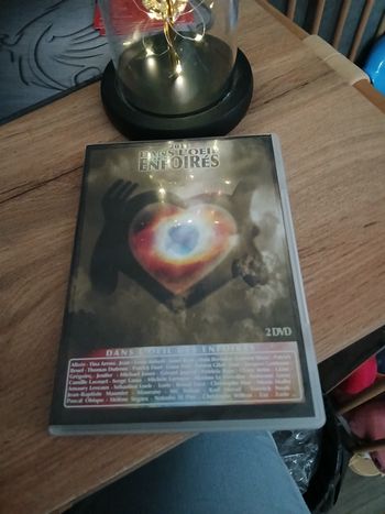 DVD DANS L OEIL DES ENFOIRES