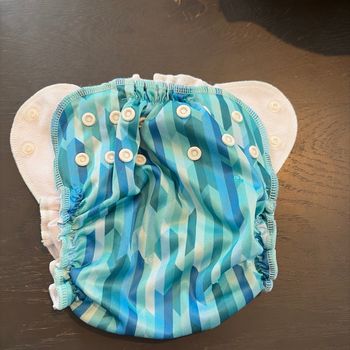 Couche évolutive applecheeks t.2