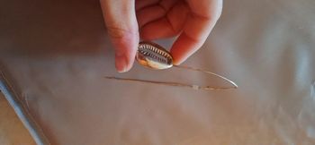 1 boucle d'oreilles coquillage