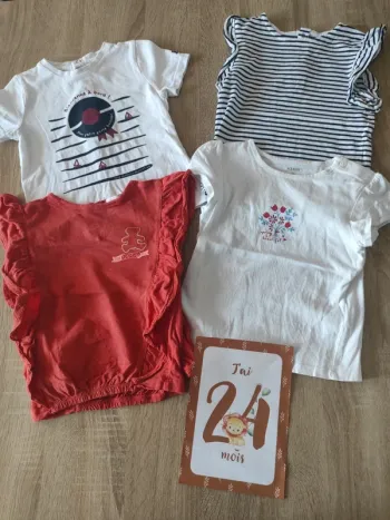 Lot tee shirt bebe fille