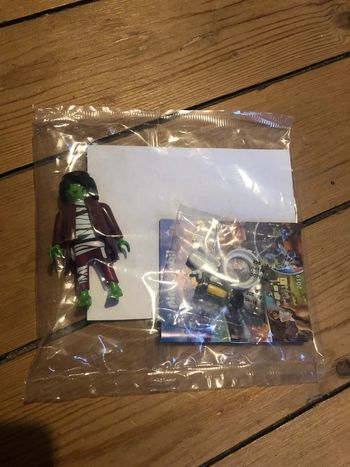 Playmobil série limite Quick