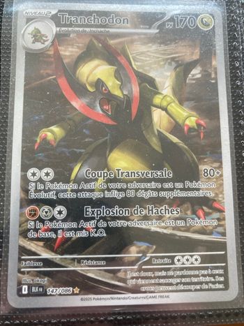 Tranchodon 147/086