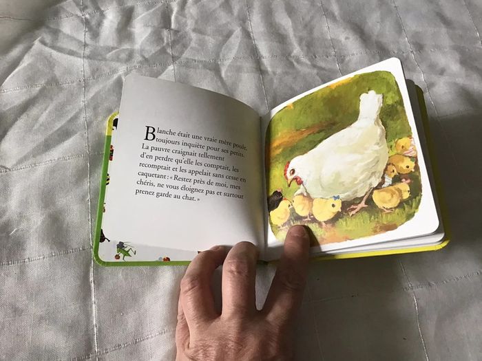 Petit livre Antonin le poussin - photo numéro 2
