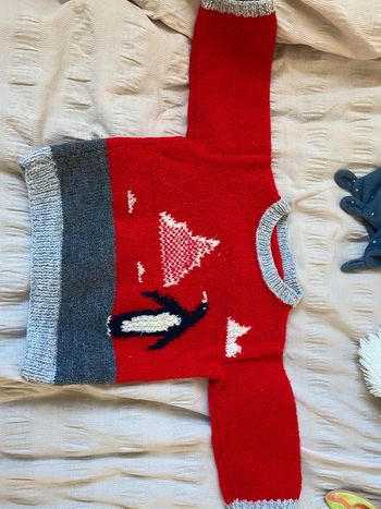 Pull en laine