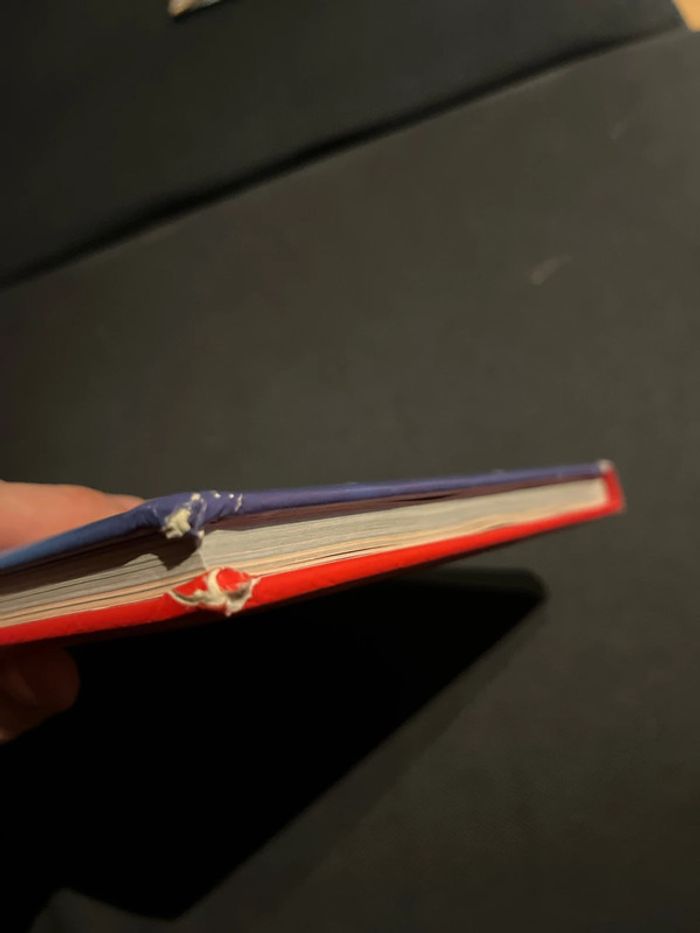 Livre pour enfants Disney couverture matelassé Bernard et Bianca - photo numéro 2