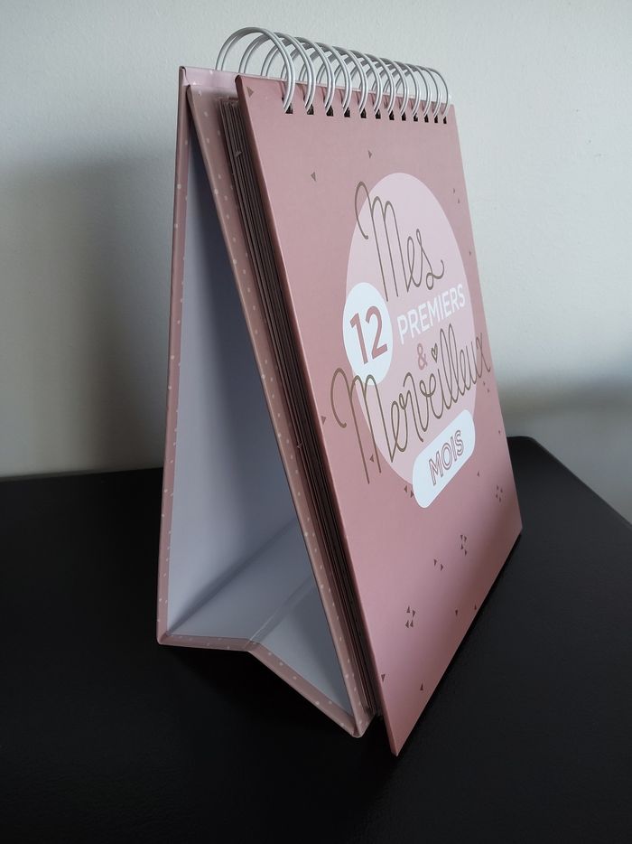 Album Mes 12 premiers & merveilleux mois Atmosphéra - photo numéro 2