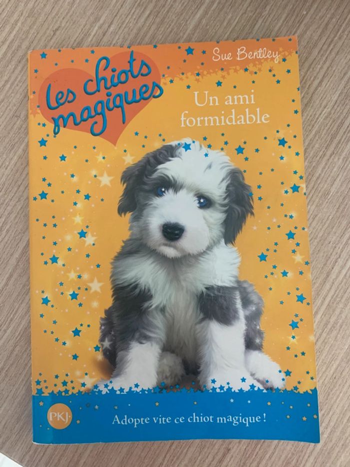 Livre les chiots magiques